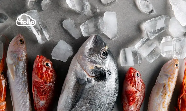 macam-macam-frozen-food