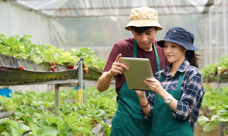 Contoh Ide Bisnis di Bidang Pertanian