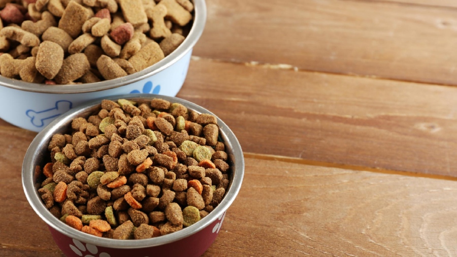 cara-mengelola-stok-pakan-hewan