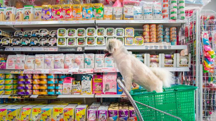 fitur-folio-pos-yang-bikin-operasional-bisnis-pet-shop-lebih-mudah