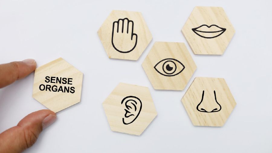 pelanggan-betah-tanpa-alasan-jelas-ini-rahasia-sensory-marketing-yang-jarang-disadari